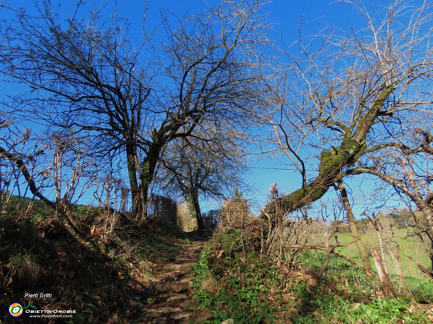 17 Dopo una bella salita nel bosco il panorama si apre verso i Prati Parini.JPG